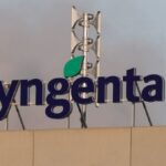 La salida a bolsa de Syngenta por 9.500 millones de dólares se acerca a la audiencia en la bolsa de Shanghái