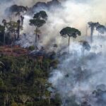 Los incendios del Amazonas se apoderan del 90% del área en los primeros dos meses de 2023