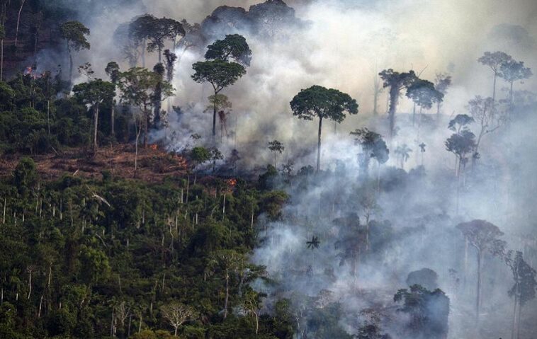 Los incendios del Amazonas se apoderan del 90% del área en los primeros dos meses de 2023