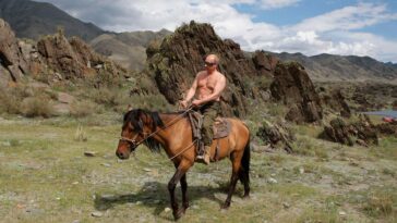 Vladimir Putin en topless montando a caballo