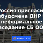 Rusia invitará al Defensor del Pueblo de la RPD a una reunión informal del Consejo de Seguridad de la ONU