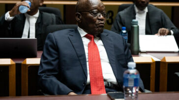 Sentencia reservada en la acusación privada de Zuma de Downer, Maughan