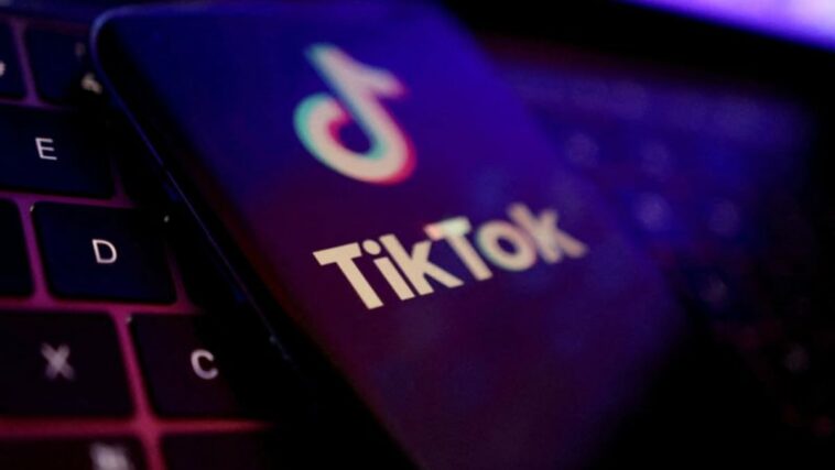TikTok permitirá a los creadores vender colecciones de videos de formato largo