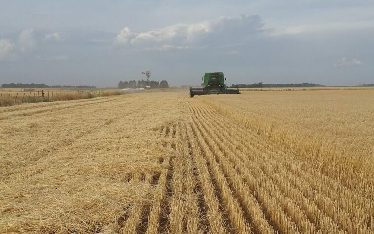 Argentina ve peor 1T para exportaciones agrícolas en 16 años por sequía - Argentina Reports