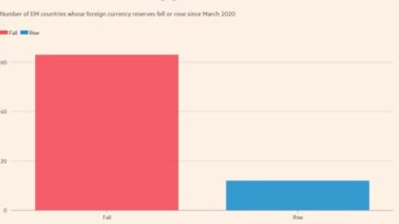 Covid-19 agotó las reservas de divisas de la mayoría de las economías emergentes