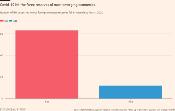 Covid-19 agotó las reservas de divisas de la mayoría de las economías emergentes