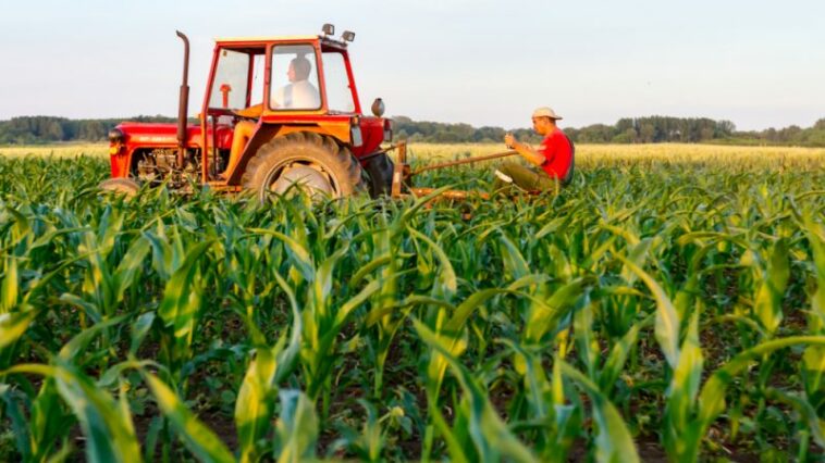 Serbia pide a la UE que amplíe el plazo de gasto del fondo agrícola IPARD
