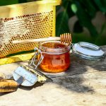 Los apicultores rumanos piden detener las importaciones de miel barata