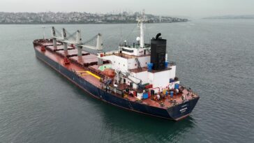 Un barco de granos espera inspección en Estambul, Turquía, el 17 de mayo.