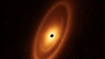 El telescopio Webb detecta tres cinturones de escombros alrededor de la estrella luminosa Fomalhaut