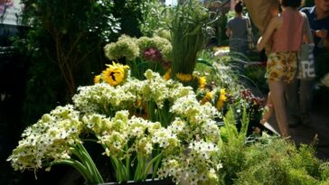 Racimos de narcisos blancos y girasoles, así como otras plantas, en un puesto en el Distrito de las Flores de Nueva York