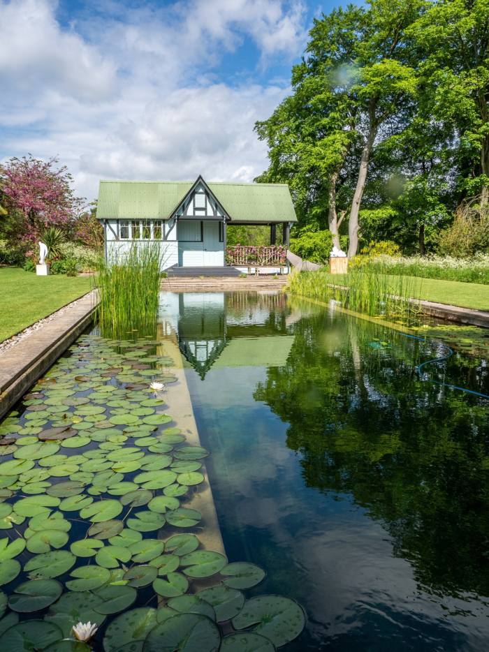 Las plantas bordean los lados de la piscina y hay un área central para nadar