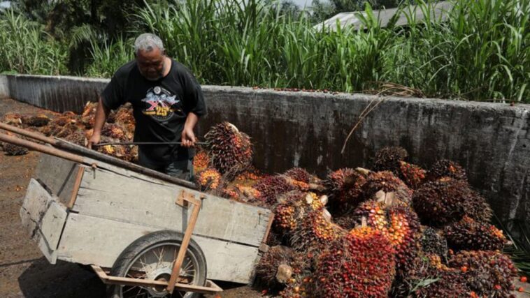 La disputa por el aceite de palma no afectará las conversaciones comerciales entre Indonesia y Malasia, dice el ministro