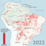 Pérdida de cobertura arbórea de 2001 a 2022 en América del Sur