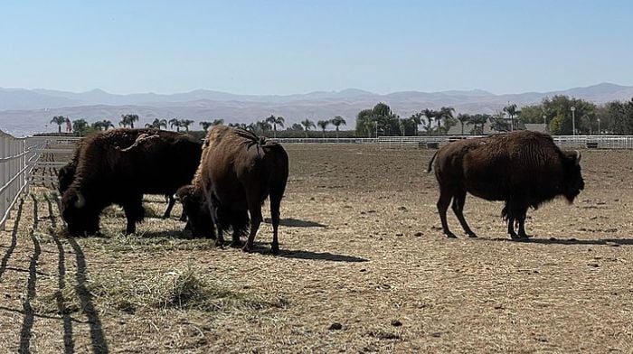 Más estados se mueven para prohibir la compra china de tierras agrícolas