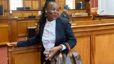 Mkhwebane comparte supuestos clips de soborno entre su esposo y Joemat-Pettersson