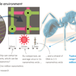 Diagrama que da una idea de la escala de los objetos de tamaño nanométrico en un chip de silicio comparándolos con un virus, una hebra de ADN y una hormiga de jardín