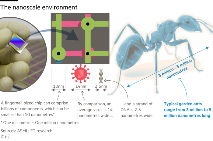 Diagrama que da una idea de la escala de los objetos de tamaño nanométrico en un chip de silicio comparándolos con un virus, una hebra de ADN y una hormiga de jardín