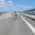 Investigadores rusos trabajan en la escena en la sección del puente dañada el 17 de julio de 2023.