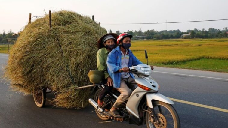 Vietnam pide seguridad alimentaria interna tras prohibición de exportación de arroz de India