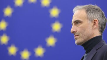 El principal candidato de los Verdes franceses no está dispuesto a "perder la esperanza" en la carrera electoral de la UE