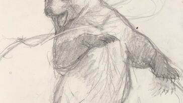 Un dibujo muestra a un oso erguido sobre sus patas traseras, golpeando algo que rodea su cabeza.