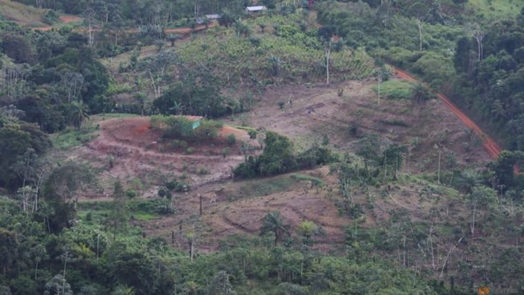 Algunos reguladores financieros del G20 pasan por alto los riesgos vinculados a la pérdida de la naturaleza, afirma el organismo de control