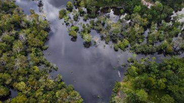 Estudio de caso de enseñanza en escuelas de negocios: ¿Pueden los bonos de biodiversidad salvar los hábitats naturales?