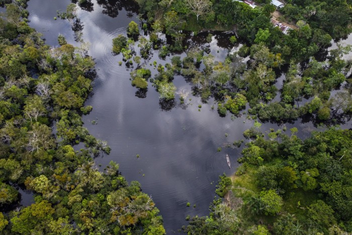 Estudio de caso de enseñanza en escuelas de negocios: ¿Pueden los bonos de biodiversidad salvar los hábitats naturales?