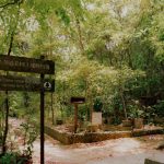 La entrada al jardín de hierbas chinas en el parque rural de Lung Fu Shan