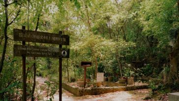 La entrada al jardín de hierbas chinas en el parque rural de Lung Fu Shan