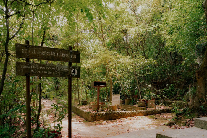 La entrada al jardín de hierbas chinas en el parque rural de Lung Fu Shan