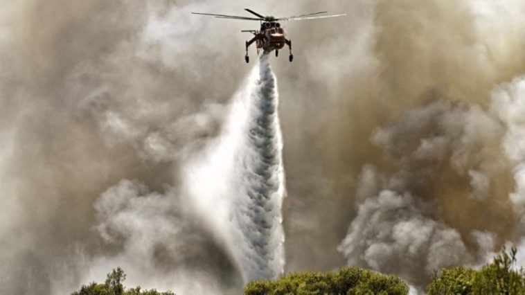 Incendios forestales: las tácticas de prevención en las que debe centrarse la UE