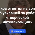 Peskov respondió a una pregunta sobre la "intelectualidad creativa" que se fue al extranjero