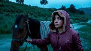 Reseña de la película The Echo: un documental mexicano montañoso con un toque de fantasía