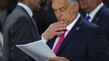 “¿Orbán?  Simplemente tiene miedo": Duda llamó a la OTAN a prepararse para la guerra con Rusia - Gazeta.Ru