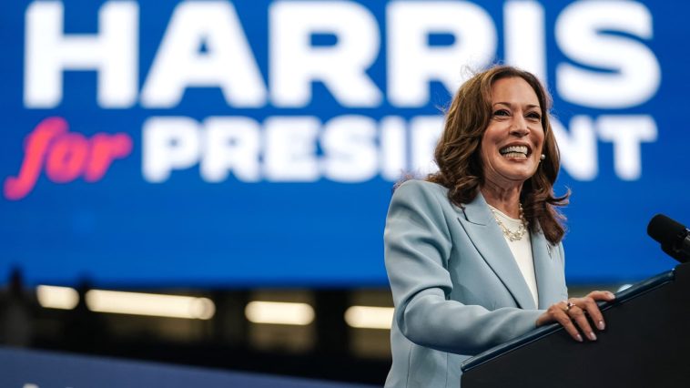 Kamala Harris recaudó 310 millones de dólares para la campaña electoral de Trump