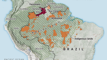 La reserva indígena Yanomami se ha convertido en la primera línea de batalla de Brasil contra la minería ilegal de oro en la Amazonia. Mapa que muestra las regiones indígenas de Brasil y la selva amazónica