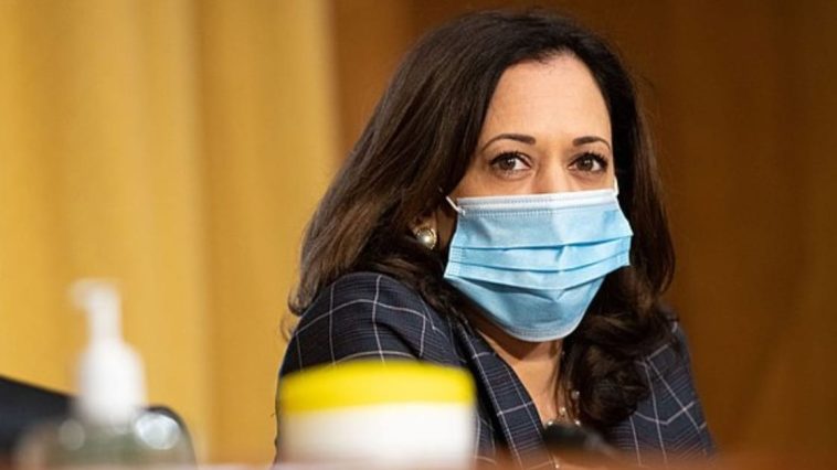 frontera de kamala harris