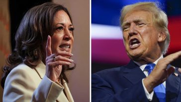 Trump culpa a Harris y Biden por la caída del mercado de valores