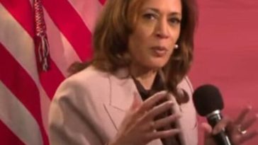 Kamala Harris talks about Springfield, Ohio