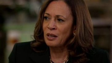 Kamala Harris speaks during an MSNBC interview.