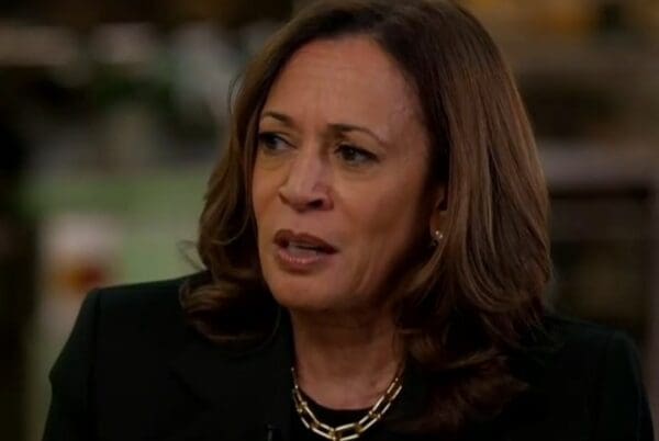 Kamala Harris speaks during an MSNBC interview.