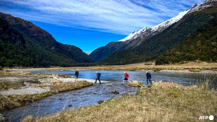 Nueva Zelanda casi triplica el impuesto a los turistas internacionales