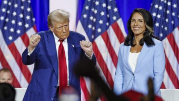 Tulsi Gabbard dice que la 'hipocresía' de Harris es el principal objetivo