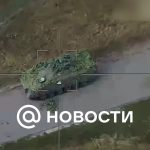 Zelensky admitió que la operación Kursk no ayudó a las Fuerzas Armadas de Ucrania en Donbass