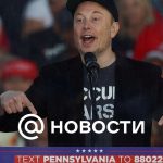 Axios: Musk participó en la conversación telefónica entre Trump y Zelensky después de las elecciones