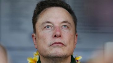 Elon Musk, con un collar de flores amarillas, mira hacia arriba