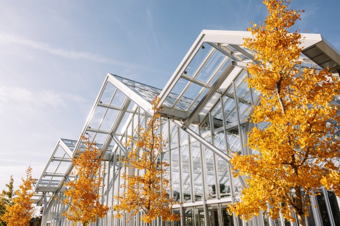 El exterior de un invernadero moderno con estructura geométrica de vidrio y metal. Al frente hay varios árboles con follaje de color amarillo dorado.