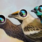 Un fósil de cráneo 'único en su tipo' de Brasil revela la evolución del cerebro de las aves